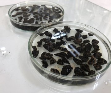 Suyun Tesirine Karşı Dayanıklılık (Soyulma Mukavemeti  Deneyi) 